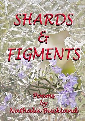 Shards cover